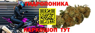 кокс Бузулук
