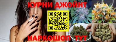 прущие грибы Будённовск