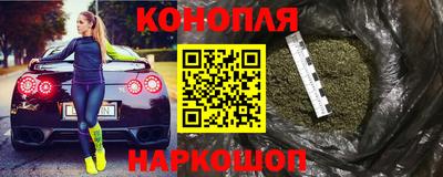 прущие грибы Будённовск